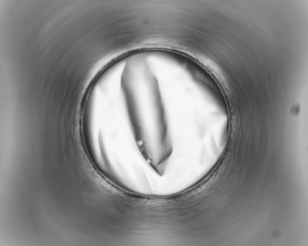 X0000090501288200708102232