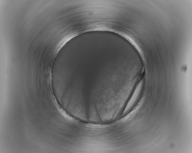 X0000090501289200708102232