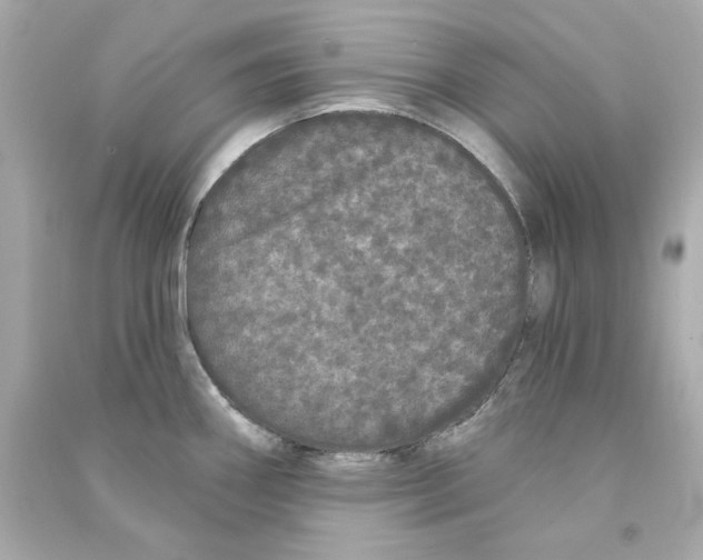 X0000090501290200708102232