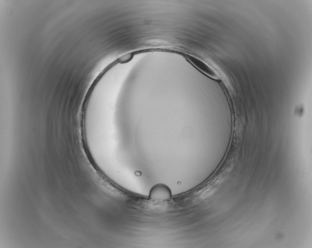 X0000090501291200708102232