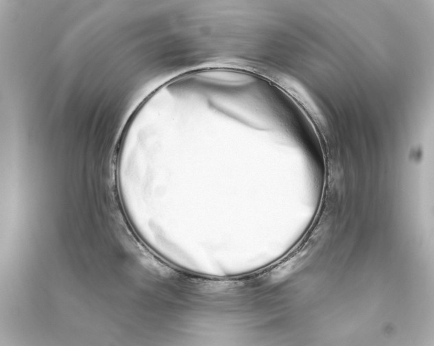 X0000090501292200708102232