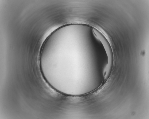 X0000090501293200708102232