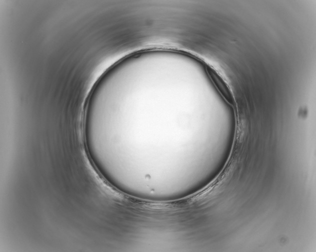 X0000090501295200708102232