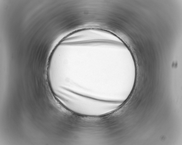 X0000090501296200708102232