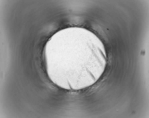 X0000090501297200708102232