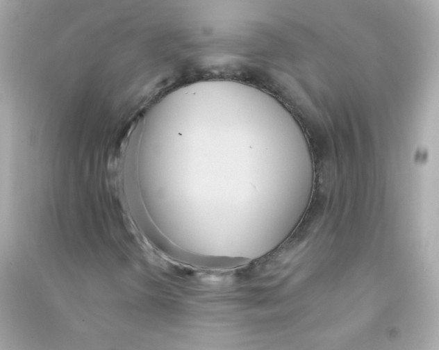 X0000090501298200708102232