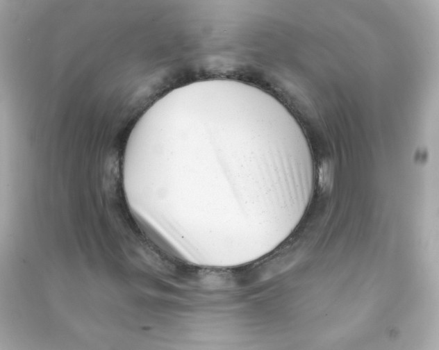 X0000090501299200708102232