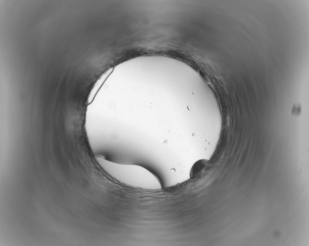 X0000090501300200708102232