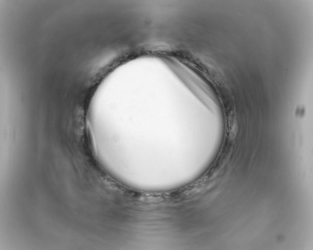 X0000090501301200708102232