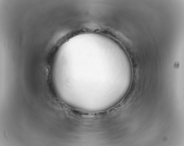 X0000090501302200708102232