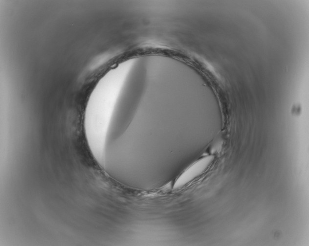 X0000090501303200708102232