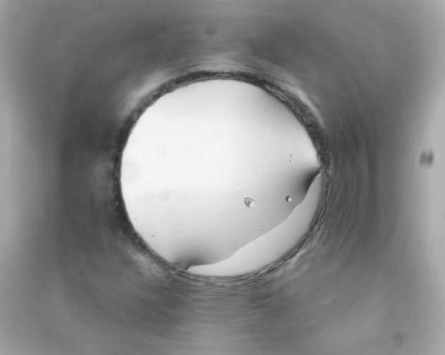 X0000090501304200708102232