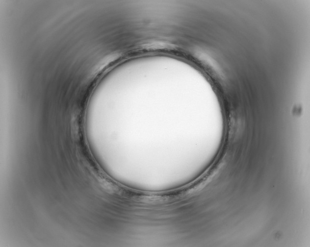 X0000090501305200708102232