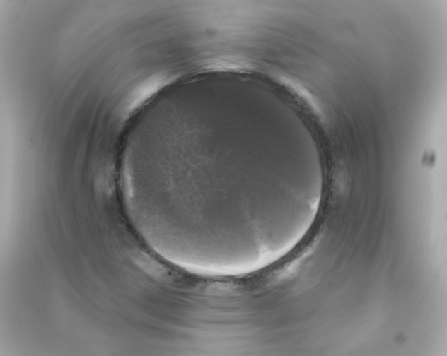 X0000090501306200708102232