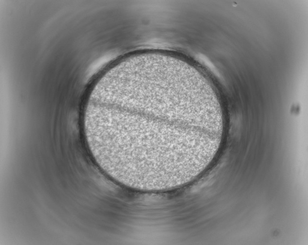 X0000090501307200708102232