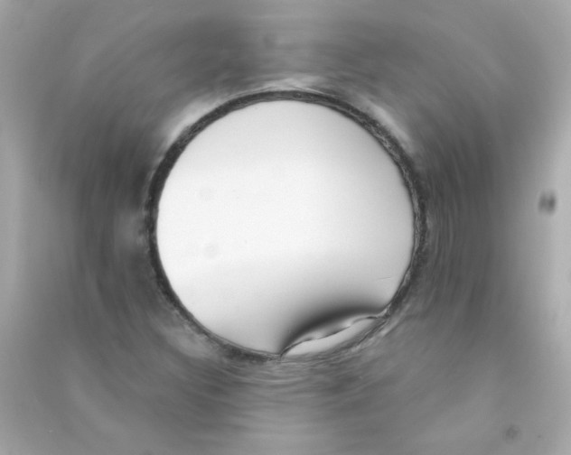 X0000090501308200708102232