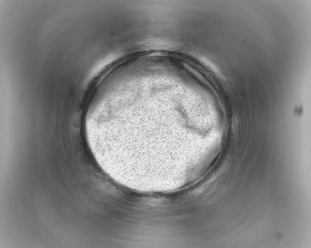 X0000090501309200708102232