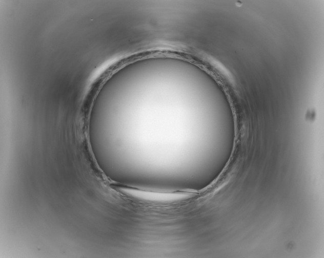 X0000090501310200708102232