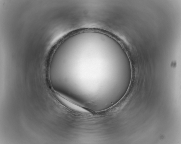 X0000090501311200708102232