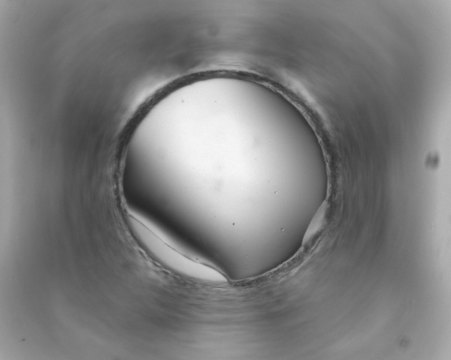 X0000090501312200708102232