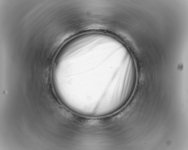 X0000090501313200708102232