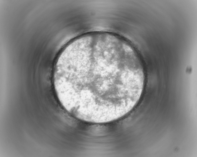 X0000090501314200708102232