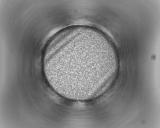 X0000090501315200708102232