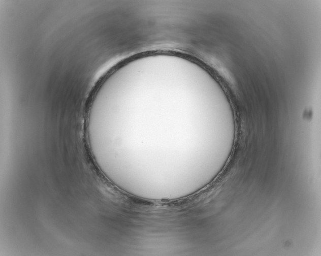 X0000090501316200708102232