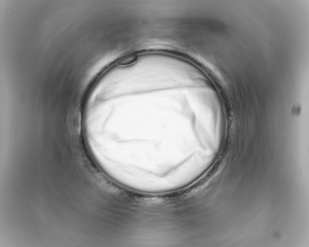 X0000090501317200708102232