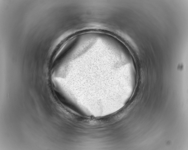 X0000090501318200708102232