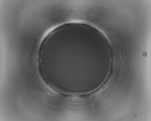 X0000090501319200708102232