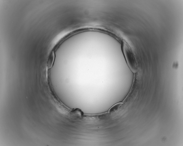 X0000090501320200708102232