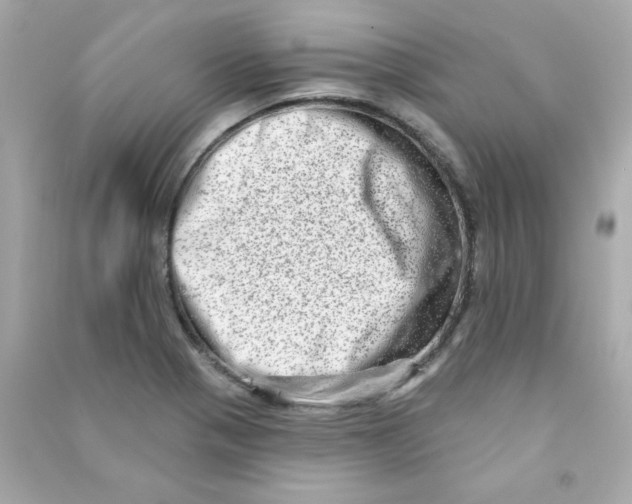 X0000090501321200708102232