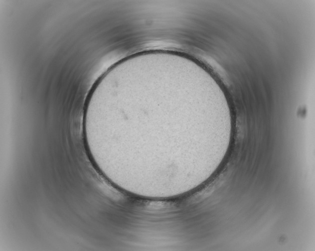 X0000090501322200708102232