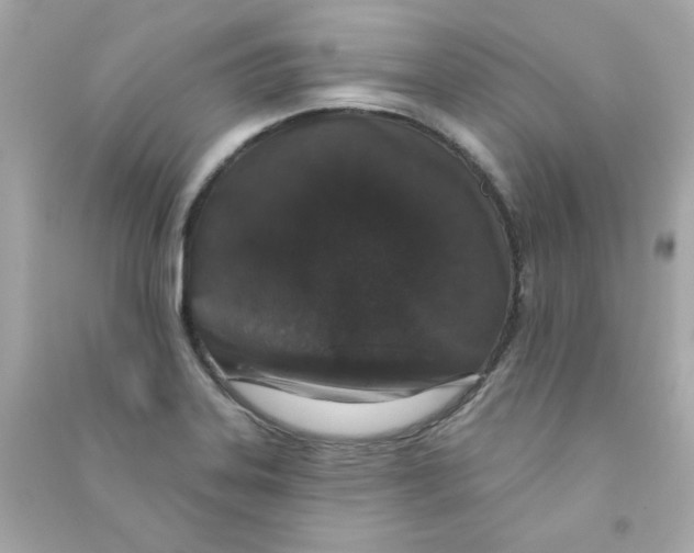 X0000090501323200708102232