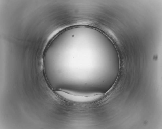 X0000090501324200708102232