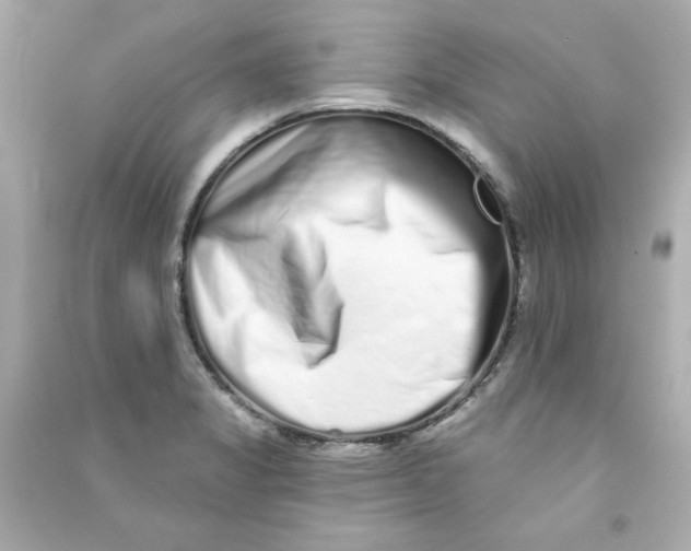 X0000090501325200708102232