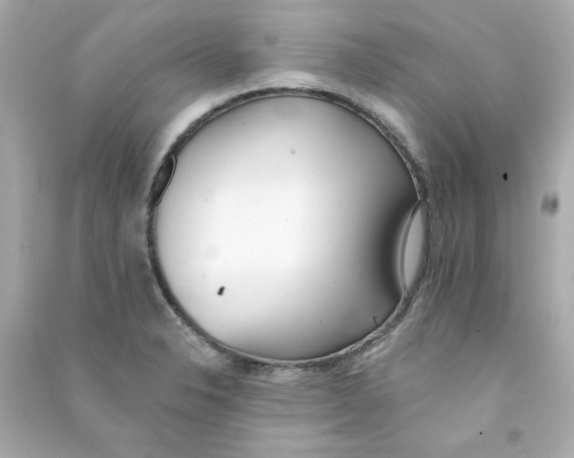 X0000090501326200708102232