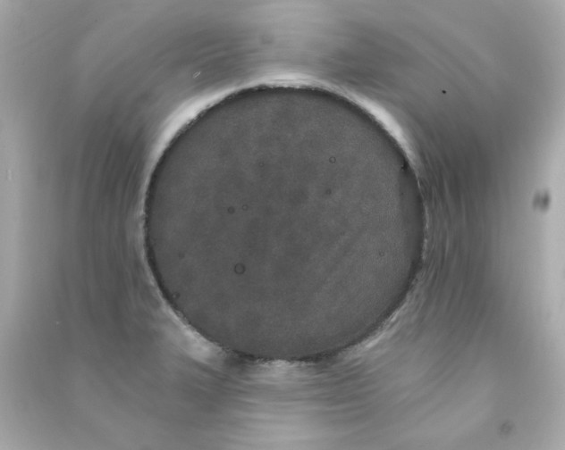 X0000090501327200708102232