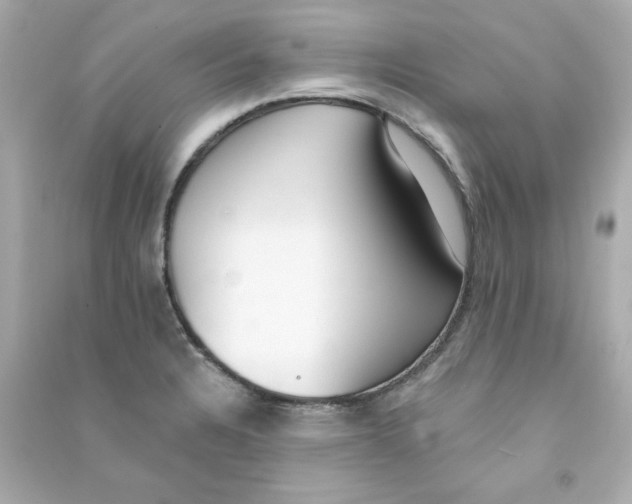 X0000090501328200708102232