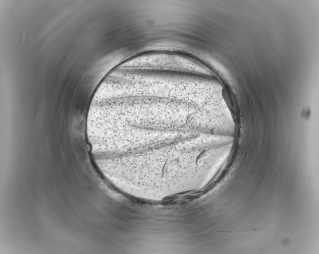 X0000090501329200708102232