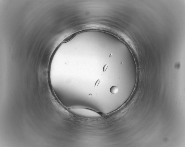 X0000090501330200708102232