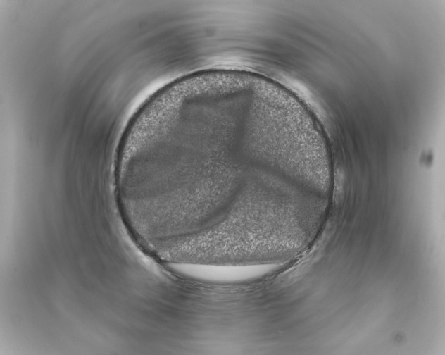 X0000090501331200708102232