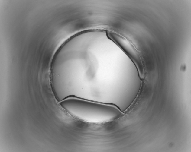 X0000090501332200708102232