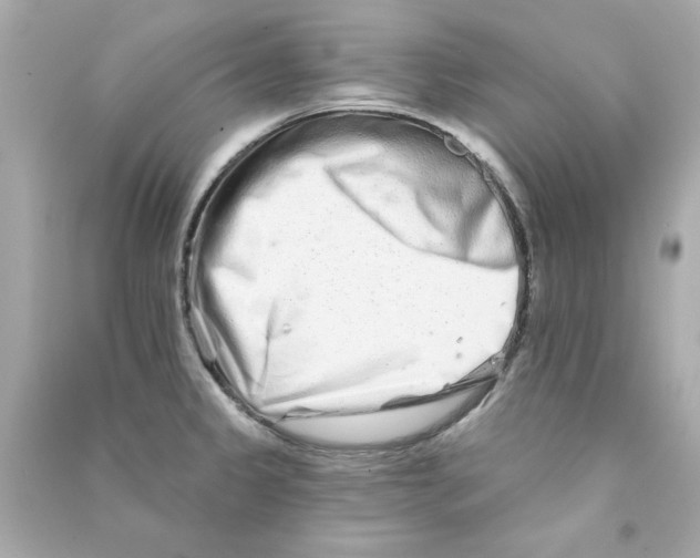 X0000090501333200708102232