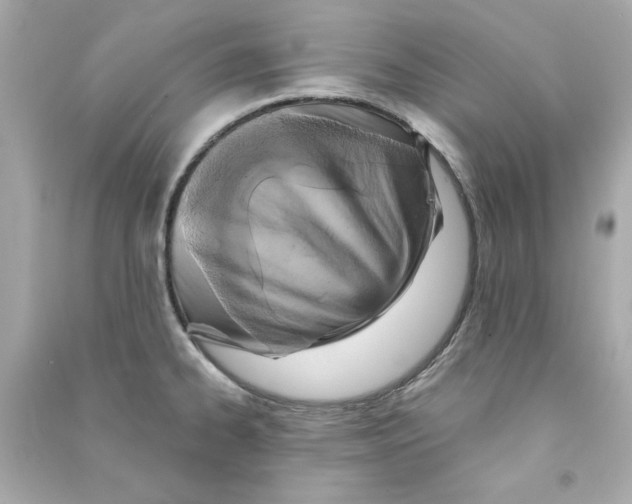 X0000090501334200708102232