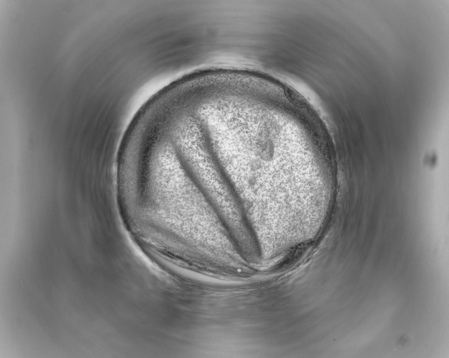 X0000090501335200708102232