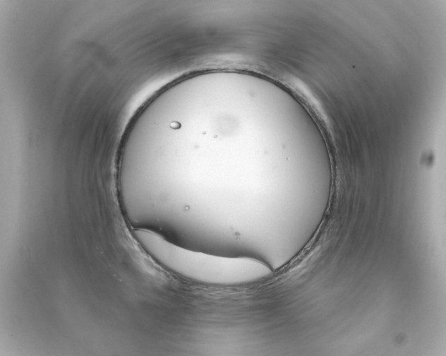 X0000090501336200708102232