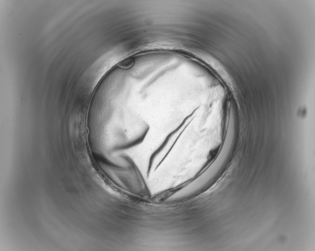 X0000090501337200708102232