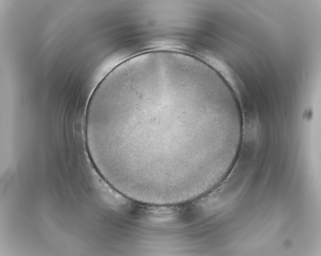 X0000090501338200708102232